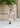 Taif